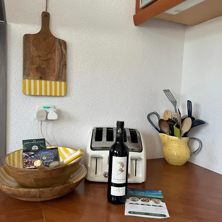 Maison Minervois Holiday home