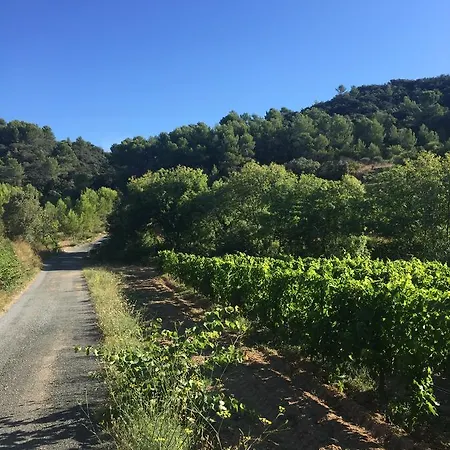Hébergement de vacances Maison Minervois Agel
