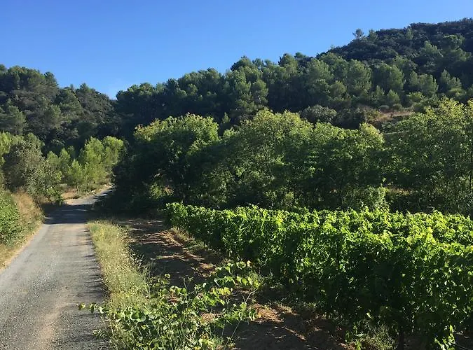 Casa vacanze Maison Minervois Agel